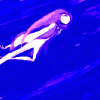 Flying NiGHTS