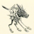 Cerberus