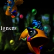 image cp2-jpg