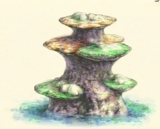 image aquagarden3-jpg