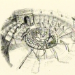 image girania2-jpg