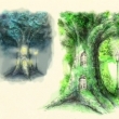 image memoryforest3-jpg